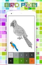 Coloring Bird Pixel Art, By Number截图1