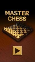 Master Chess截图1