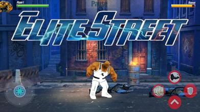 Elite Street Fighting Heroes截图4