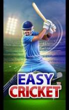 Easy Cricket™: T20 Premier League 2018截图2