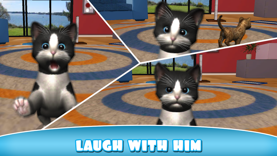 Daily Kitten : 虚拟宠物猫小猫动物截图4