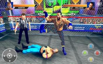 World Wrestling Revolution Mania Real Stars fight截图1