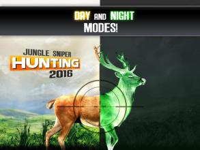 Jungle Sniper Hunting 3D 2016截图4