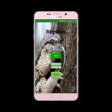 Reptiles Quiz截图5