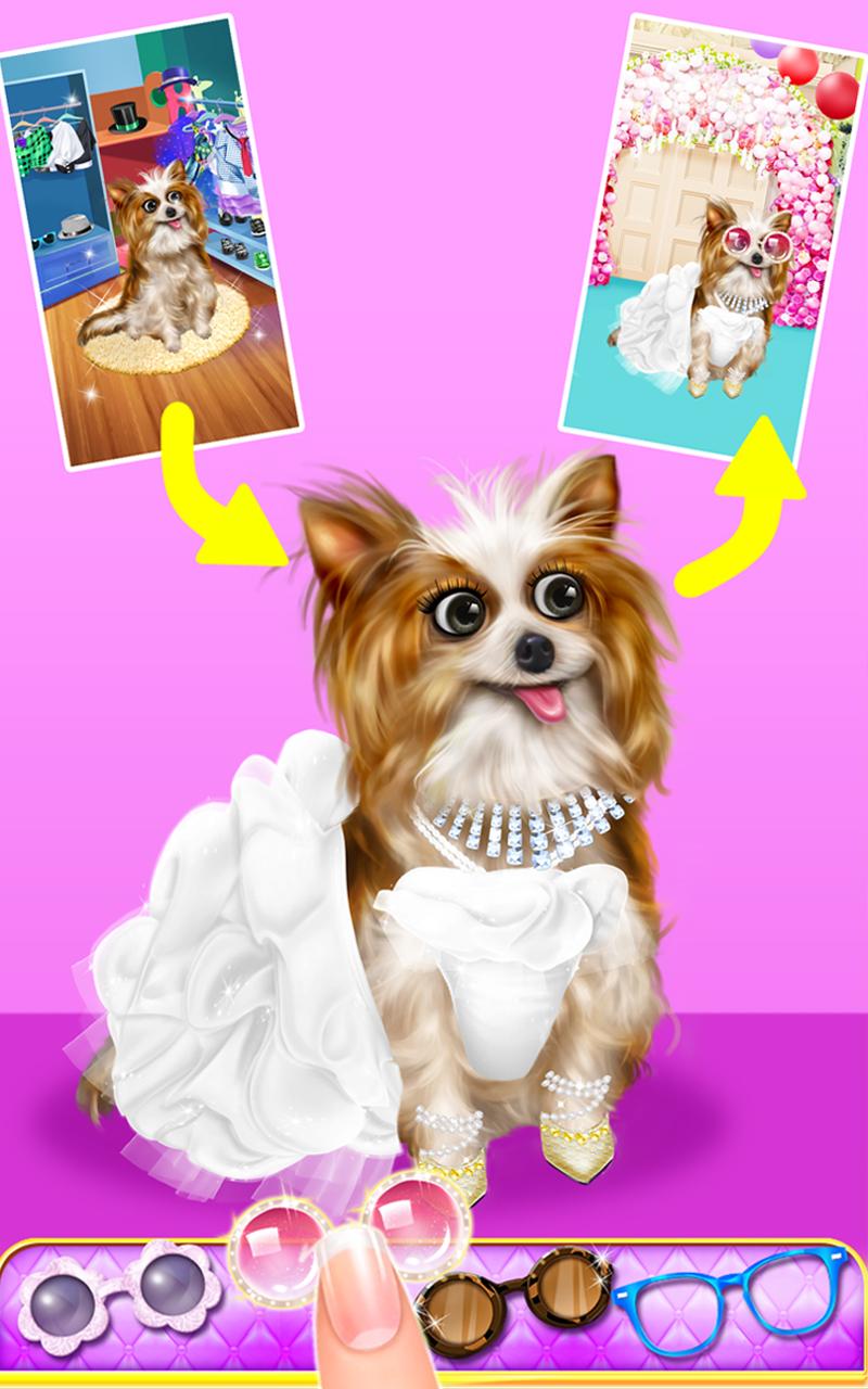 Pet Wedding Party Beauty Salon截图3