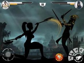 Shadow Combat Fighting: The Sunset Kung Fu Warrior截图4