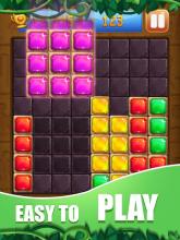 Block Puzzle Jewel Pro 2018截图2