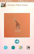 Animals Talking Flashcards for Kids截图1