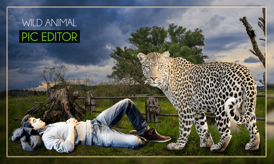 Wild Animal Photo Editor - Animal Photo Frames截图1