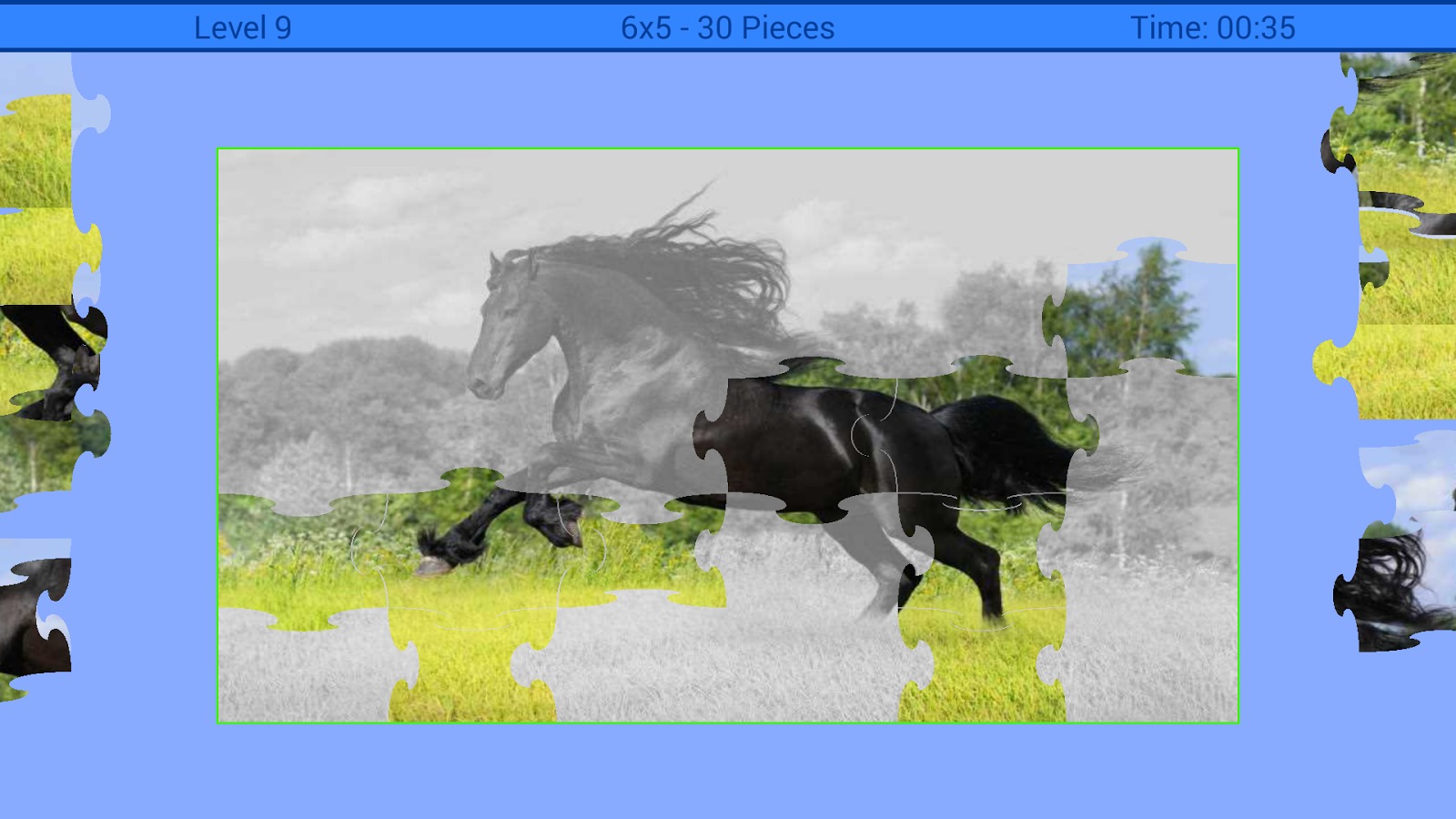 Horses Puzzle截图3