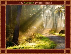 FG Autumn Photo Puzzle截图5