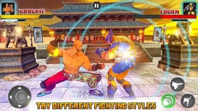 Real Superhero Kung Fu Fight Champion截图3