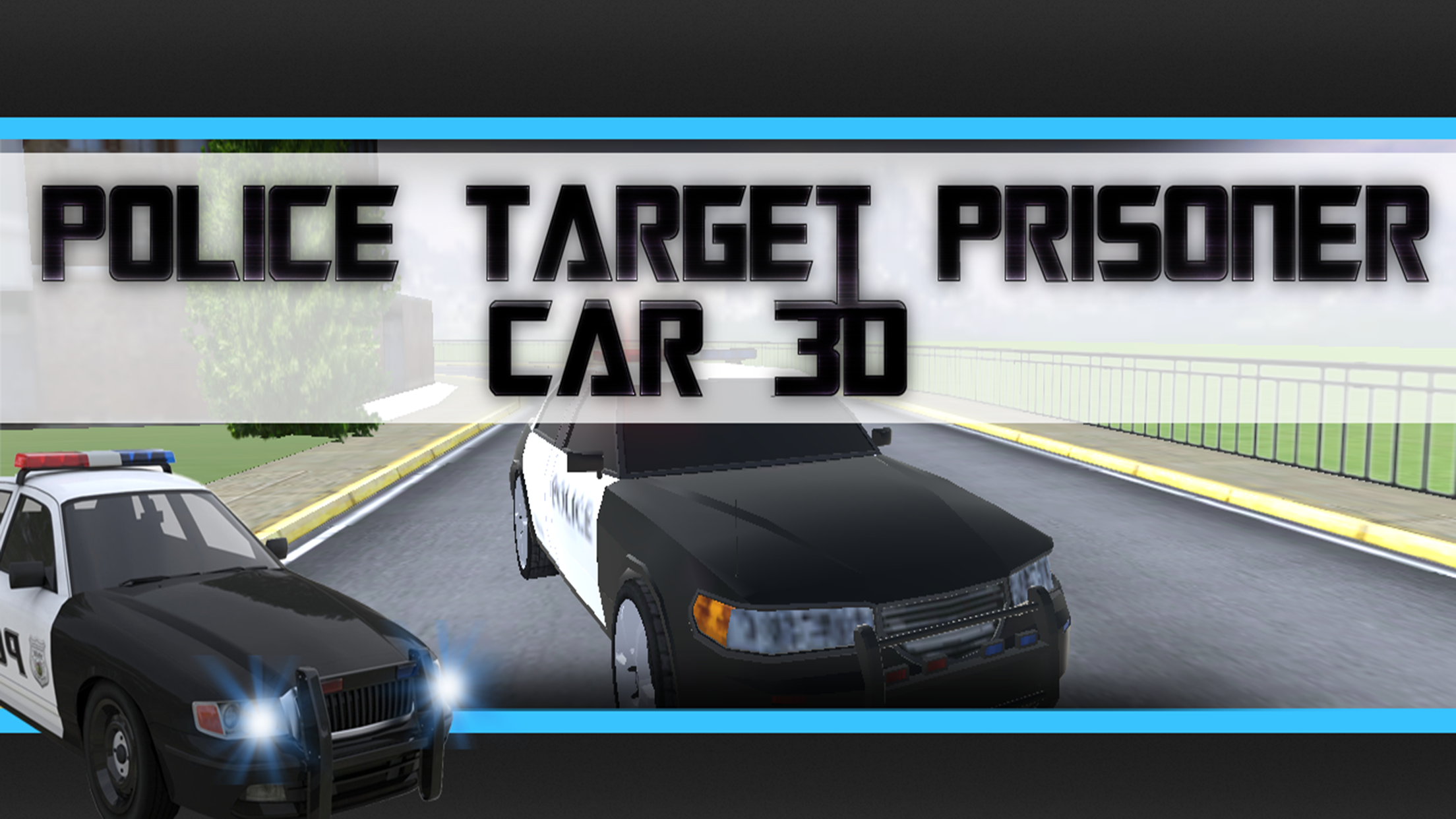 Police Target Prisoner Car 3D截图1