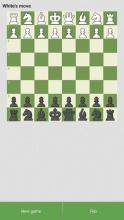 Chess Offline Play Lite截图2