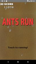 Ants Run截图2