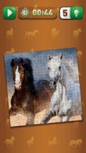 Horse Puzzle – Photo Jigsaw截图1