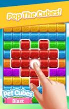 Pet Cubes Blast截图4