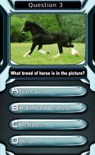 My Horse & Pony Breeds Quiz HD截图2