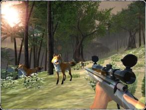 Real Sniper Hunter : Wild Jungle Animal Shooting截图1