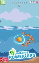 Fish Dash Run截图1