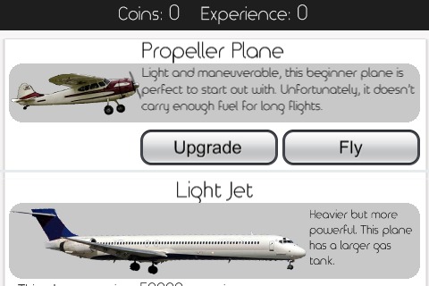 Flight Odyssey Lite截图2