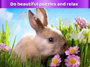 Free Jigsaw Puzzles Family Puzzle Games for adults截图3