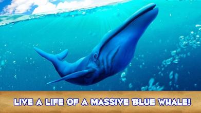 Blue Whale Simulator 3D截图1