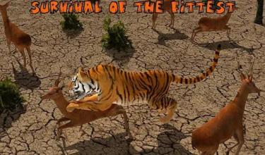 Ultimate Lion Vs Tiger Wild Adventure Game截图3