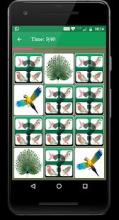 Bird Memory Matching Game截图4