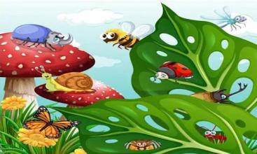 Super Snail Bobby New Bigining Adventure截图1