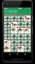 Animal Memory Matching Game截图3