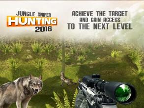 Jungle Sniper Hunting 3D 2016截图5