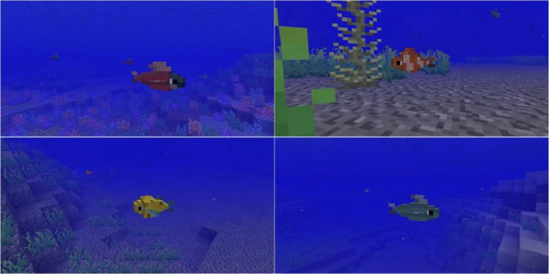 Mod Fishes 2018 for MCPE截图2