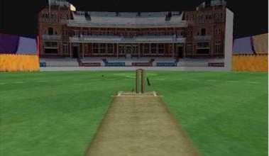 Real Cricket Runout Championship截图4