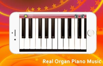 Real Organ Piano Music截图4