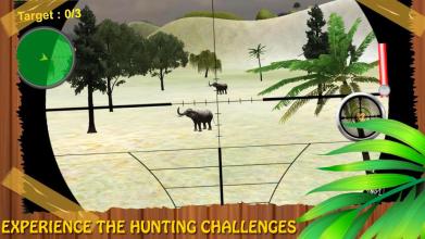 Forest Animal Hunting 2018 - 3D截图4