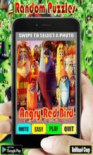 Random Angry Red Bird Puzzles截图1