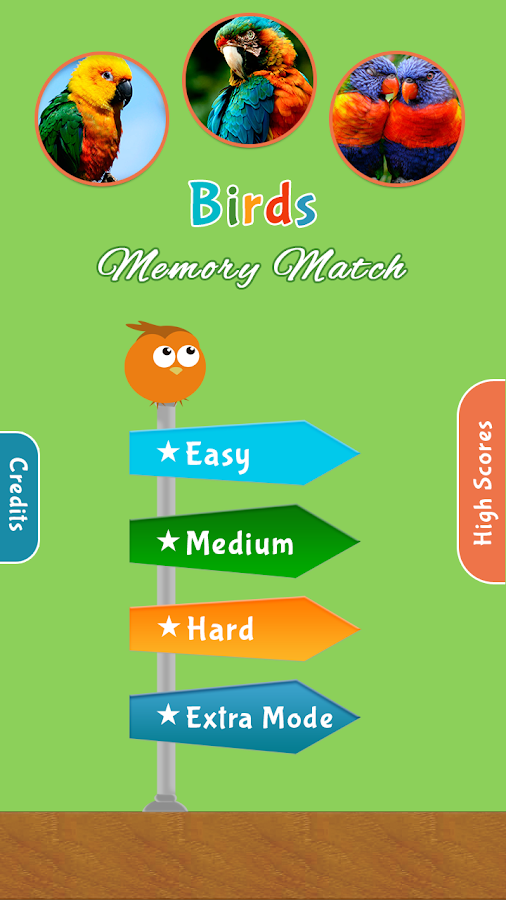 Birds Memory Match Game截图1