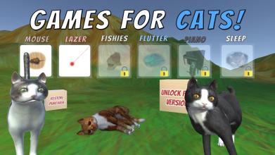 Games For Cats and Kittens截图3