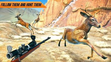 Deer Hunt 2018: Safari Hunting Attack Game截图5