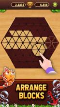 Trigon Wood: Triangle Block Puzzle截图5