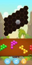 Hexagon Puzzle Blocks截图2