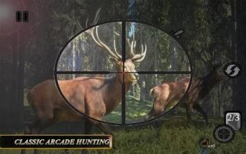 Sniper Animal Shooting 3D:Wild Animal Hunting Game截图5