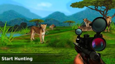 Lion Hunting截图1