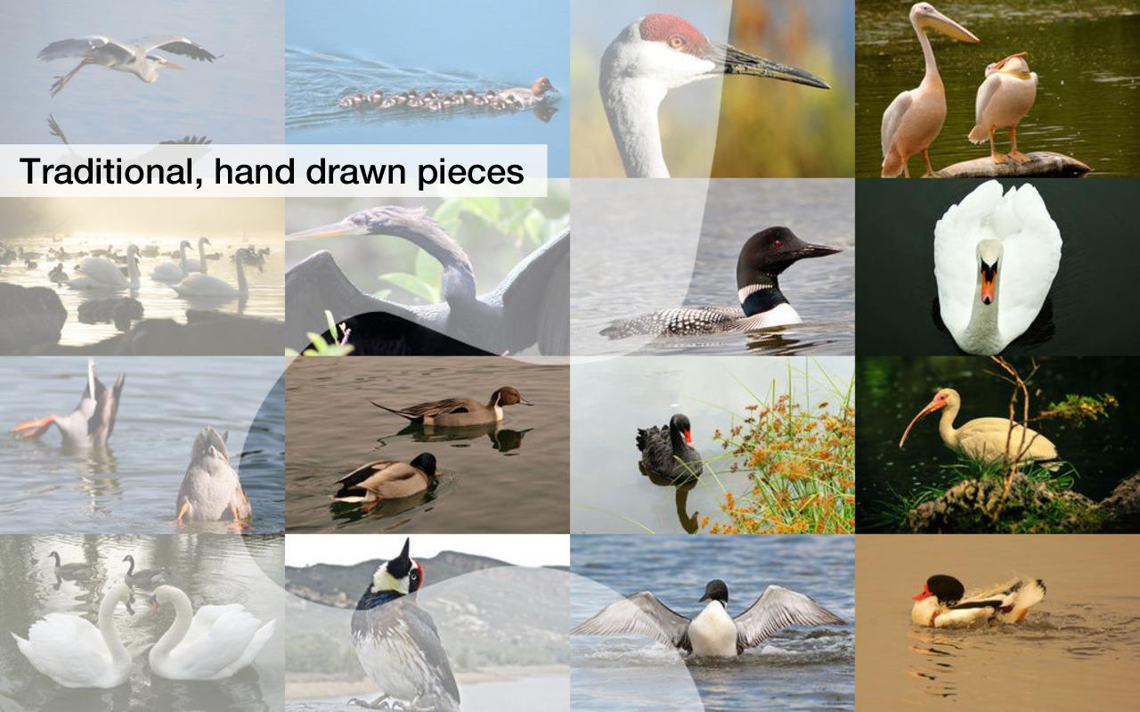 Lake Bird Jigsaw Puzzles截图3