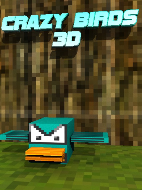 Crazy Birds 3D截图2