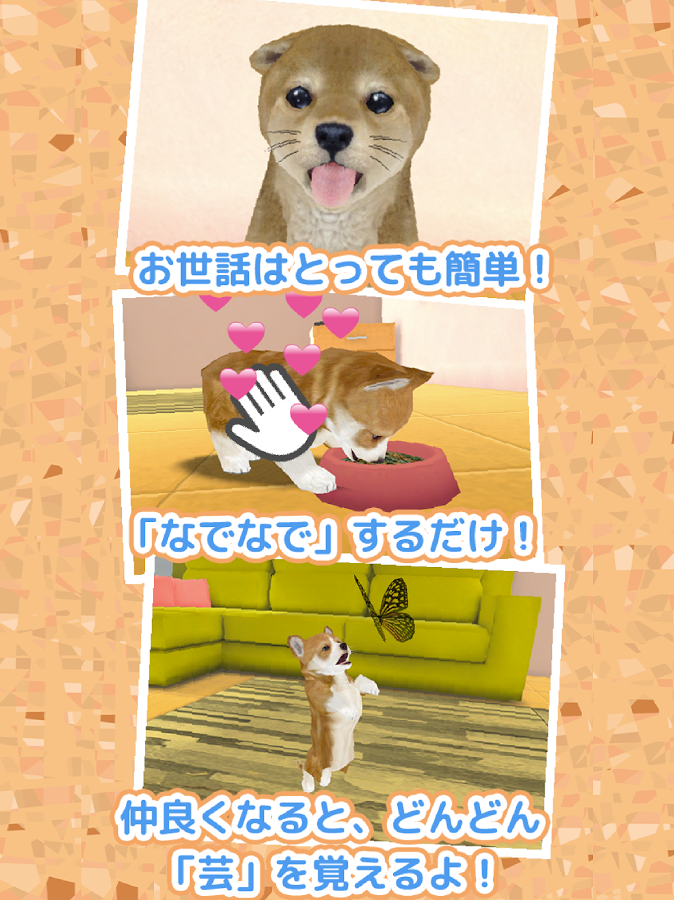 子犬のかわいい育成ゲーム 完全無料の可愛い犬育成アプリ相似游戏下载预约 豌豆荚