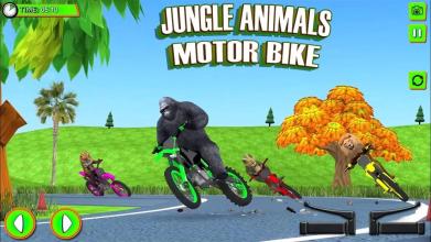 Jungle Animals Motorbike Adventure截图2