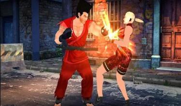 Paul Hero Vs Immortal Gods Hero-Street Fighting 3D截图4