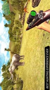 Jungle Safari Animal Hunter截图